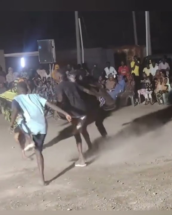 Nubians’ Karang Dance – Traditional African Cultural Performance#viral #viralvideo #video #vlog