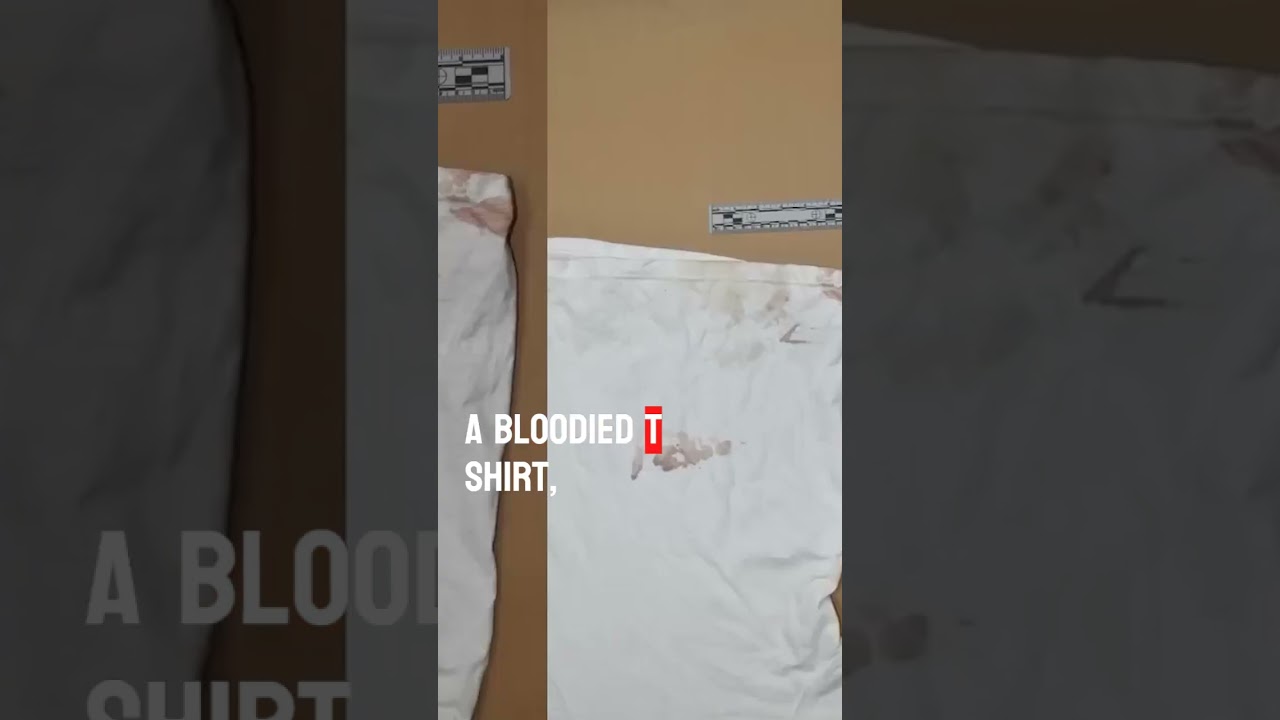 Доказательства против Эйдена Фуччи