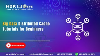Big Data Expert Shares Top Distributed Cache Techniques!