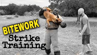 PSA Bitework. Strike Training.