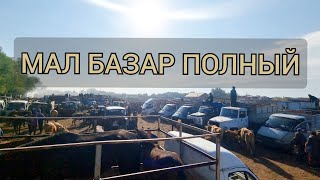 Жаркент мал базары. 17.09.2023ж