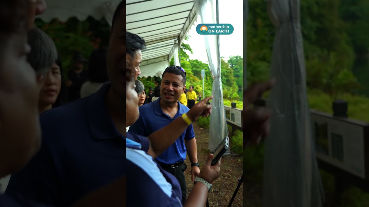 Alvin Tan to take over Desmond Lee as chairman of Friends of Ubin Network