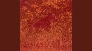 Pulsating Ambience for Healing Chakras