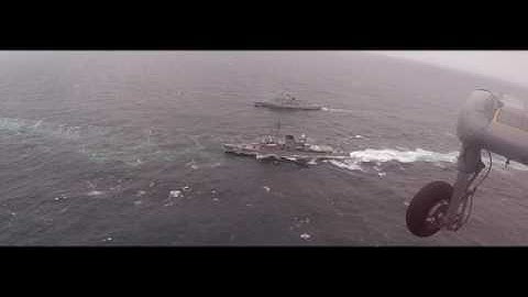 Dynamic Mongoose 2017 Trailer