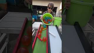Marble Run ☆ Dynamic Dragon Ball Course①