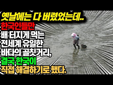 한국인들만 배터지게 먹는 전세계 골칫거리 해산물, 결국 한국이 직접 해결하기로 했다.