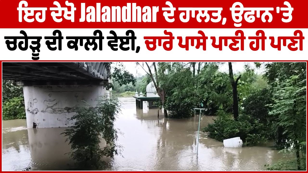 Jalandhar Flood | ਇਹ ਦੇਖੋ Jalandhar ਦੇ ਹਾਲਤ, ਉਫਾਨ 'ਤੇ ਚਹੇੜੂ ਦੀ ਕਾਲੀ ਵੇਈ, ਚਾਰੋ ਪਾਸੇ ਪਾਣੀ ਹੀ ਪਾਣੀ