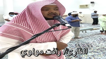 تراويح الليلة الثامنة ١٤٤٢ القارئ/ رأفت مولوي