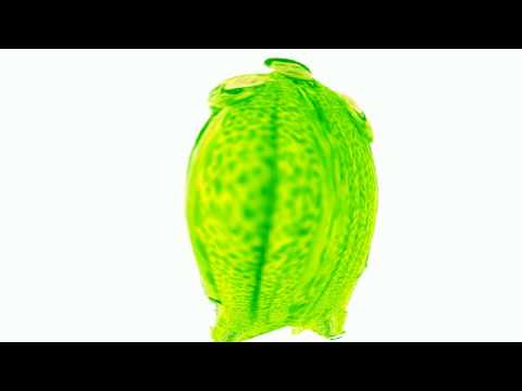 PPAP but every time he says "uhh" the video gets distorted and JimmyHere screams.