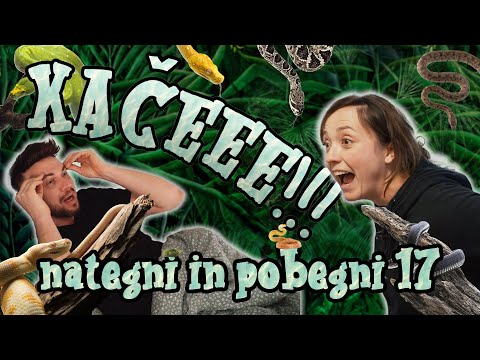 NATEGNI in POBEGNI