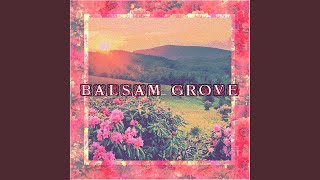 Watch Balsam Grove Civil Twilight video