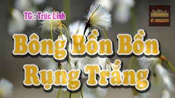 Karaoke Bông Bồn Bồn Rụng | NSƯT Phượng Loan | TG : Trúc Linh | Beat Ca Cổ