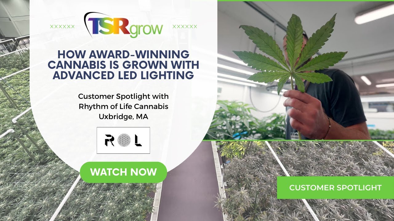 How Award-Winning Cannabis Is Grown with Advanced LED Lighting | TSRgrow