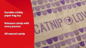 SmartyKat® Cat Caves™ Catnip Infused Paper Bags, Set of 2