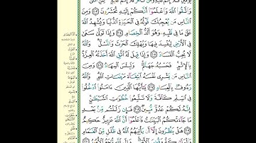 سورة البقرة صفحة ٣٢| وَٱذْكُرُواْ ٱللَّهَ فِىٓ أَيَّامٍۢ مَّعْدُودَٰتٍۢ| الآية مكررة ٥ مرات
