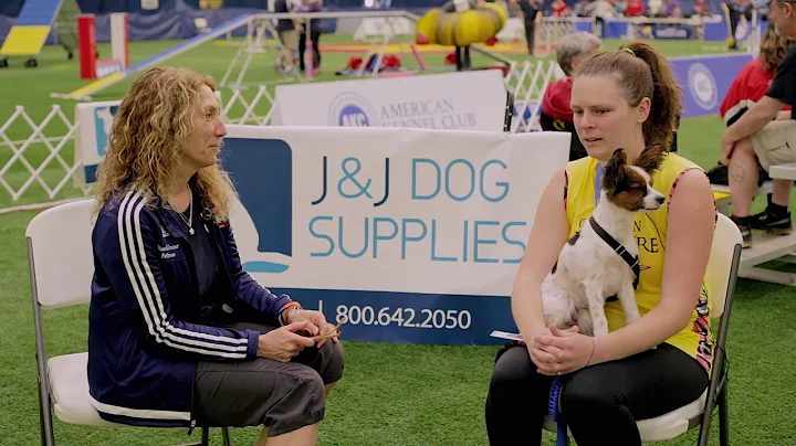 2017 AKC World Agility Team Tryouts - Britney Imho...
