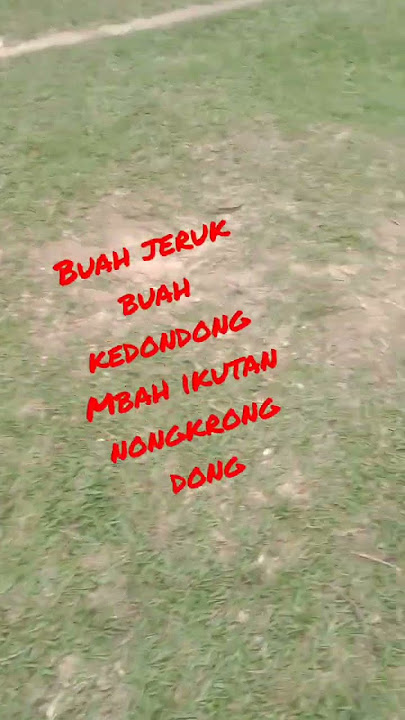 buah jeruk buah kedondong