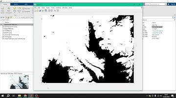 MATLAB ile Görüntü İşleme Ödevi L2: indexli veya gri imajlarda işlemler