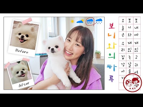 강아지 미용실 다녀왔을 뿐인데 왜 아기곰 한마리가 우리집에 있지?😯 (귀여움주의) | 디바제니