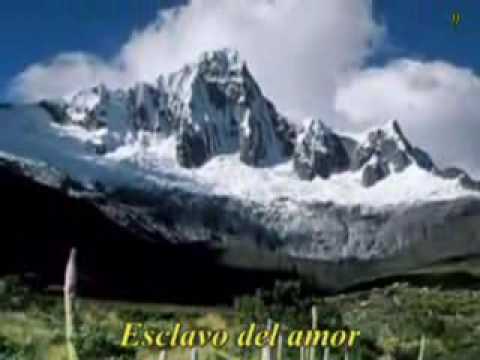 Slave to love Bryan Ferry subtitulos en espaol