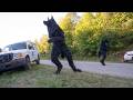 Dogman 2: The Wrath of the Litter (2014) They're not just pups anymore...