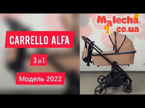 Carrello Alfa | Універсальна коляска 3 в 1 | Каррелло Альфа