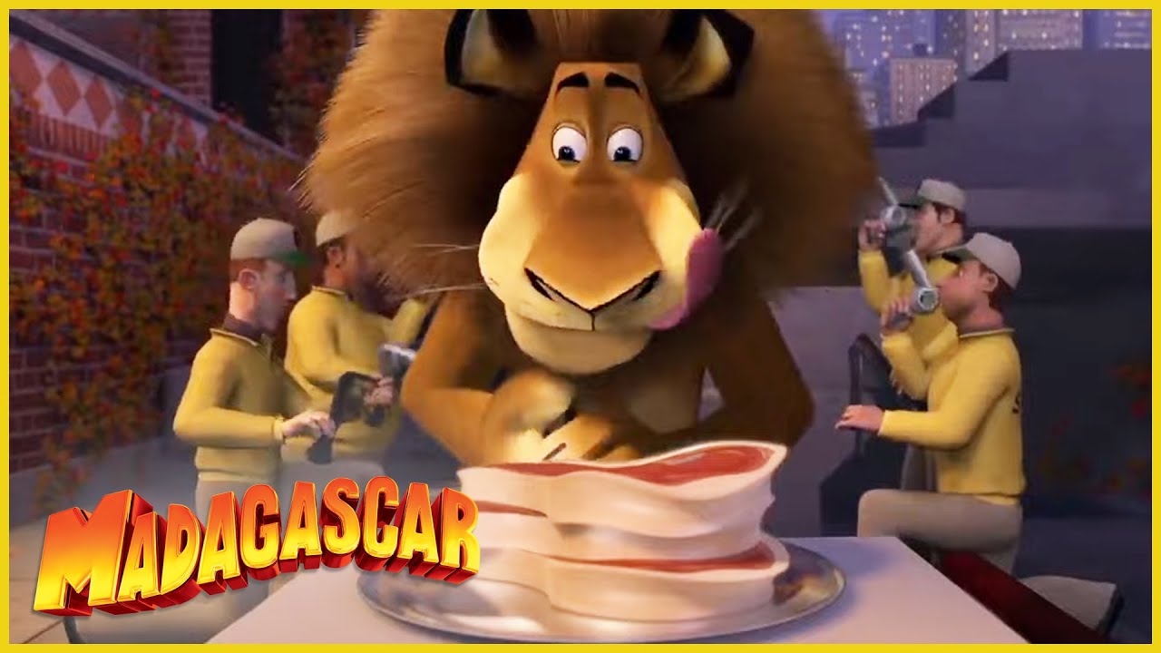 DreamWorks Madagascar en Español Latino | Un día en el zoológico | Dibujos animados para niños