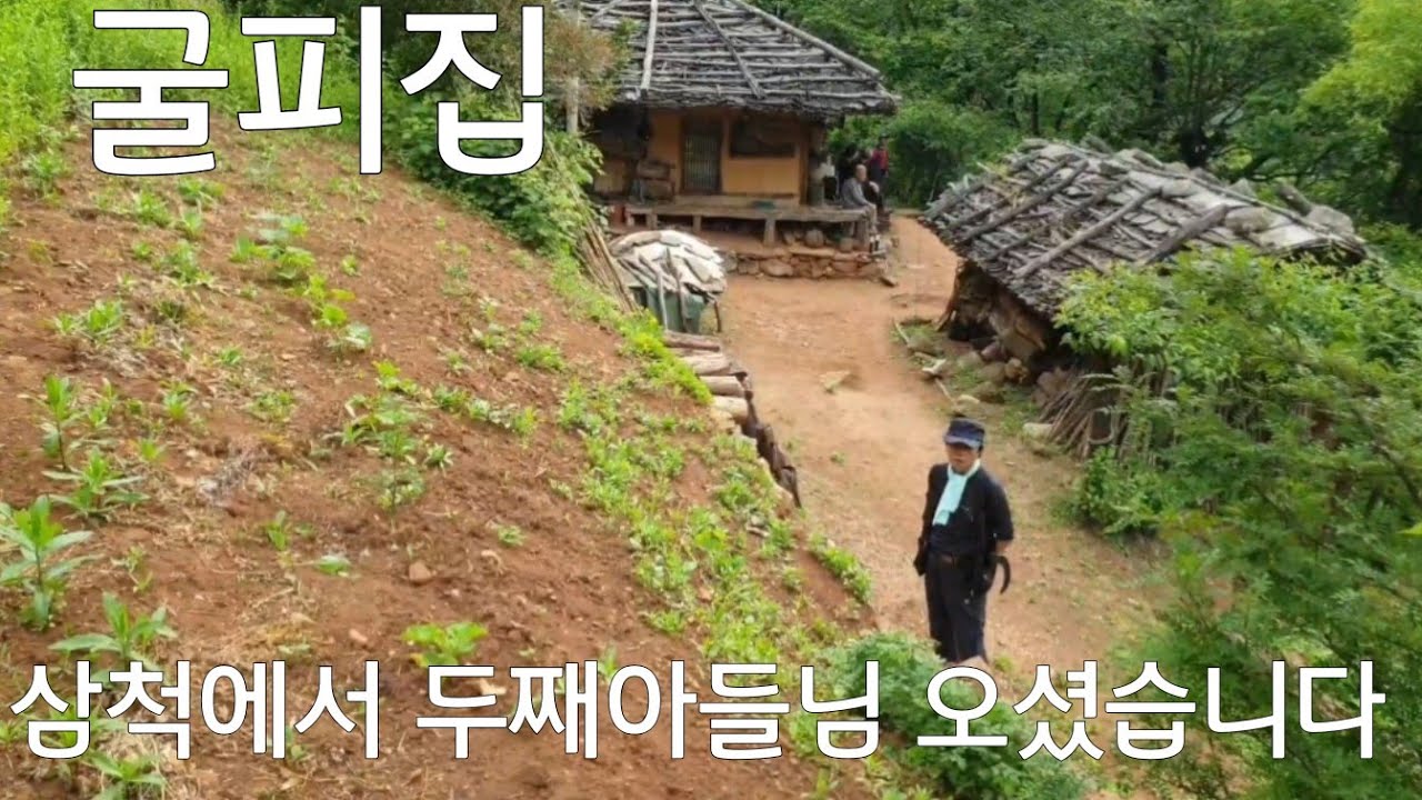 굴피집 어르신 삼척에서 아들하고 친따님 오셨습니다