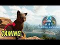 hanno aggiundo i gatti su ark!! | Ark survival ascended