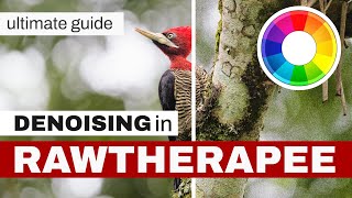 Denoising in RawTherapee | Complete Tutorial screenshot 5