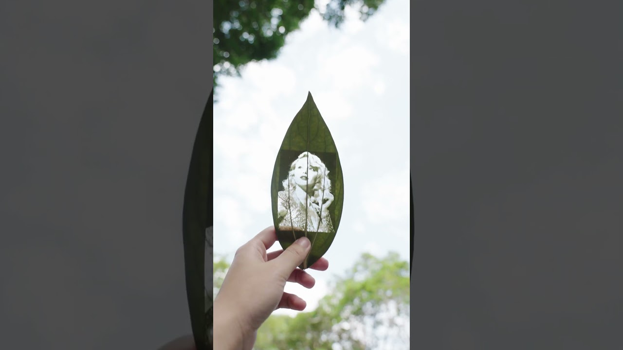 Engrave Photo on Leaf with LaserPecker LP4🍃