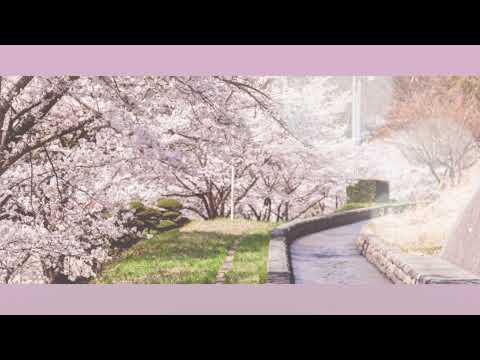 【ピアノ伴奏】3月9日 / レミオロメン - off vocal カラオケ piano ver. arranged by 萩