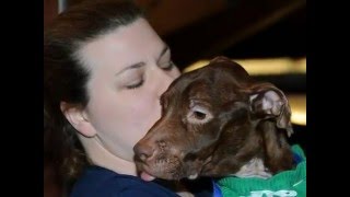 I Am Patrick-Remember Me This Way