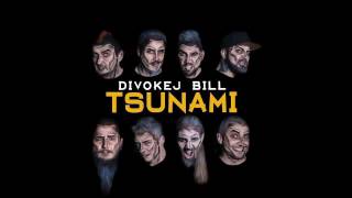 Divokej Bill - Tsunami - celé album