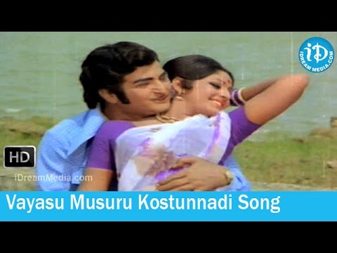 Yamagola Movie Songs   Vayasu Musuru Kostunnadi Song   NTR   Jayapradha