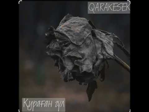 QARAKESEK Кураган гул