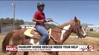 Teen helping fundraise for Pahrump horse rescue