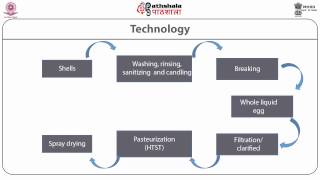 Technology of dehydrated egg product, whole egg powder & egg yolk powder