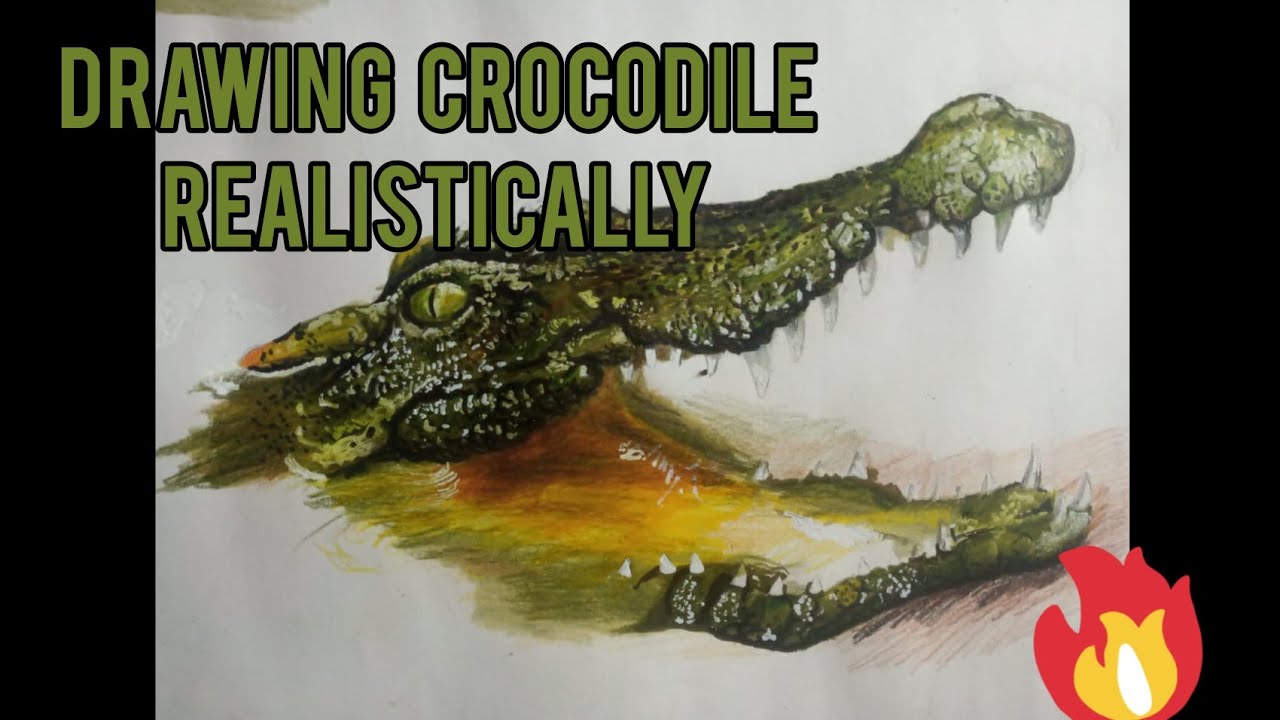 #Crocodile