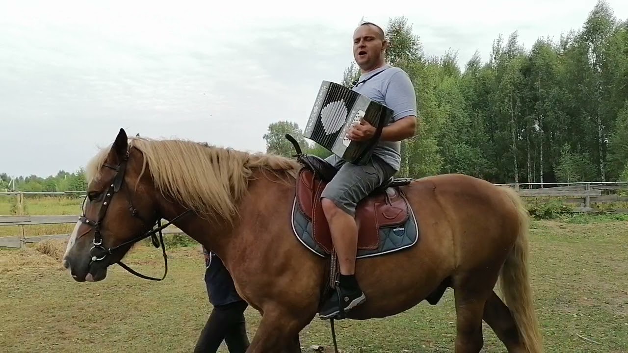 ну чего, поехали)))) Ой при лужку при лужке на гармони!!