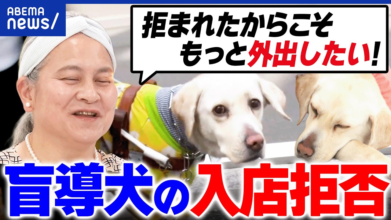 盲導犬 入 店 拒否