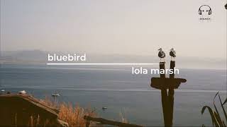 bluebird | lola marsh