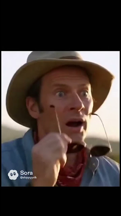 #funny #bbreak #internetculture #motivationsong #cat #internetmeme #memes