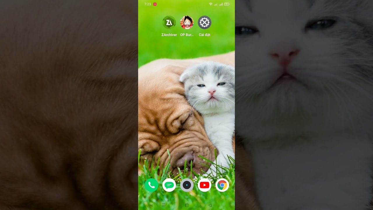 How to install Game OP BURNING WILL English