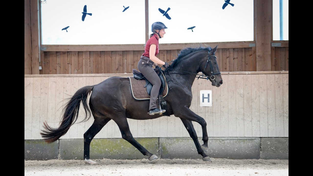 Arbeitsphase Nachtrag