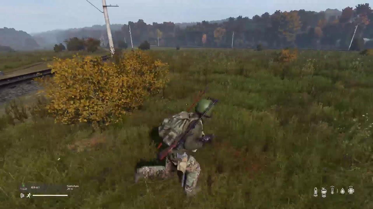 DayZ Community Running The Purge.