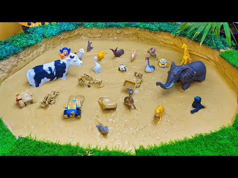 Cleans Mud Farm Animals Wild Animals Safari Animals Funny Cow Construction Vehicles McQueen Car