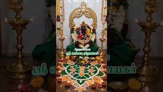 #thoranamalai #தோரணமலை #agasthiyar #theriyar #powrnami #krivalam #tenkasi #pothigai hill #spritual