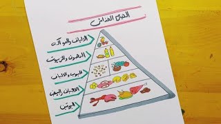 رسم الهرم الغذائي || 1 || food pyramid drawing