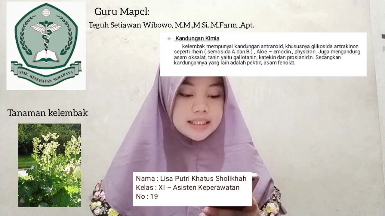 Presentasi Tanaman Obat "Kelembak" 